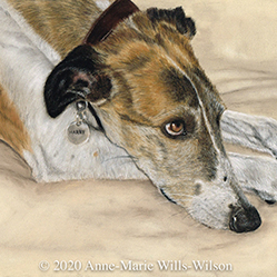Anne-Marie Wills-Wilson: Animal Portraits