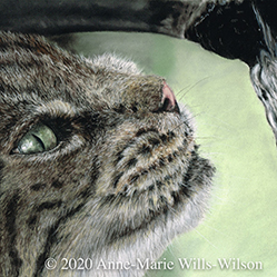 Anne-Marie Wills-Wilson: Animal Portraits